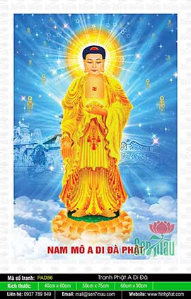 Hình Ảnh Phật A Di Đà - Hình Phật Đẹp - PAD86