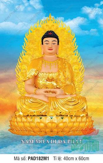 Hình Ảnh Phật A Di Đà PAD182M1, ngự tòa sen vàng rực rỡ