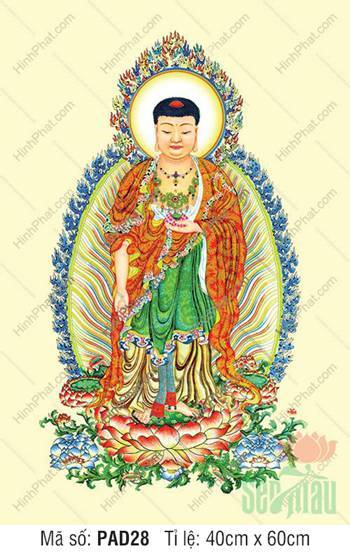 Hình Ảnh Phật A Di Đà PAD28, Khoác Y Đỏ Nâng Sen Hồng