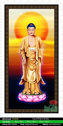 Hình Ảnh Phật A Di Đà PAD429