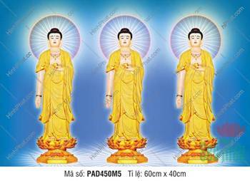 Hình Ảnh Phật A Di Đà PAD450M5, bộ ba nền xanh lam