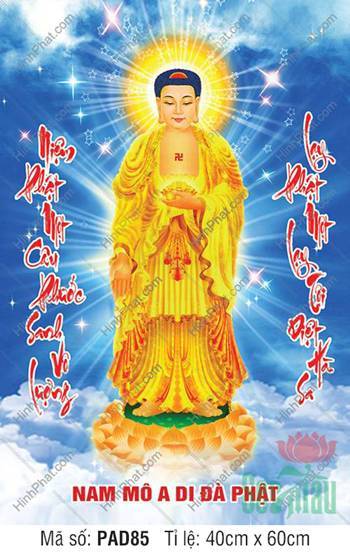 Hình Ảnh Phật A Di Đà PAD85, khoác y vàng ngự tòa sen