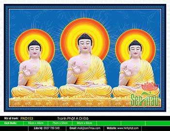 Hình Ảnh Phật A Di Đà Tiếp Dẫn - PAD153