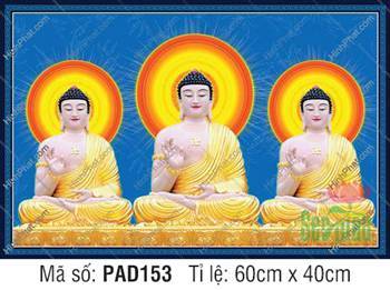Hình Ảnh Phật A Di Đà Tiếp Dẫn PAD153, ba hình an tọa đài sen