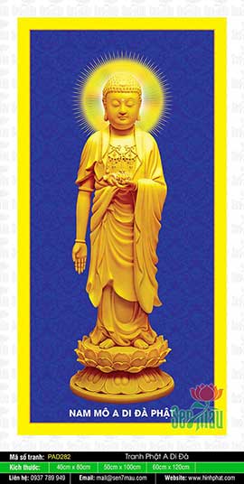 Hình Đức Phật A Di Đà Đẹp Nhất PAD282
