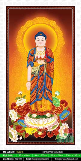 Hình Đức Phật A Di Đà Đẹp Nhất PAD345