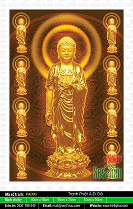 Hình Đức Phật A Di Đà - PAD92