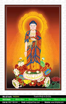 Hình Đức Phật A Di Đà PAD344