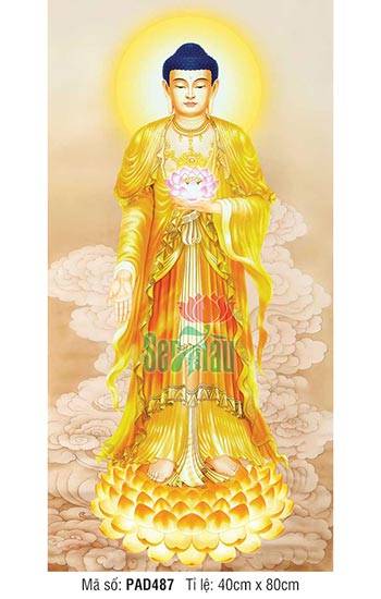 Hình Phật A Di Đà Chất Lượng Cao PAD487
