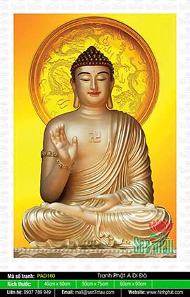 Hình Phật A Di Đà Đẹp - PAD160