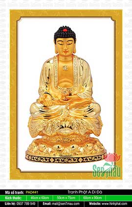 Hình Phật A Di Đà Đẹp PAD441