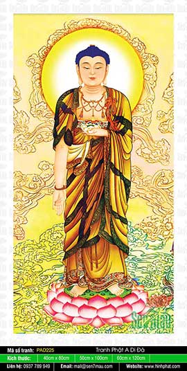 Hình Phật A Di Đà Khổ Lớn - PAD225