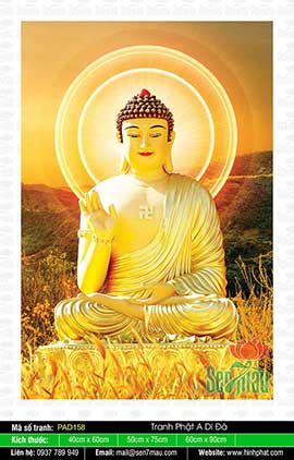 Hình Phật A Di Đà - Tranh Phật - PAD158