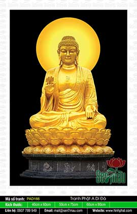Những Bức Hình Về Phật A Di Đà Đẹp Nhất - PAD166
