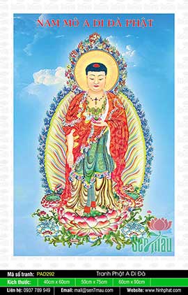 Những Bức Hình Về Phật A Di Đà Đẹp Nhất PAD292