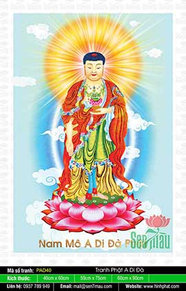 Những Bức Hình Về Phật A Di Đà Đẹp Nhất - PAD40