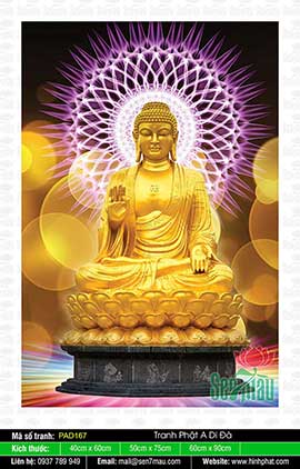 Những Hình Ảnh Phật A Di Đà Đẹp Nhất - PAD167