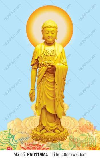 Phật A Di Đà, Hình Phật A Di Đà, Tranh Phật A Di Đà PAD119M4, tôn ảnh đứng trên sen vàng