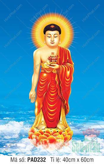 Phật A Di Đà, Hình Phật A Di Đà, Tranh Phật A Di Đà PAD232 ngự sen vàng