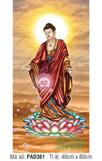 Tôn Ảnh A Di Đà Phật Đẹp PAD361, Dáng Đứng Tiếp Dẫn Rực Sáng
