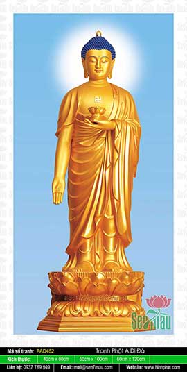 Tôn Ảnh A Di Đà Phật PAD452