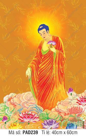 Tôn Ảnh Phật A Di Đà Chất Lượng Cao PAD239, tôn ảnh đứng giữa mây sen