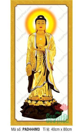 Tranh Ảnh Đức Phật A Di Đà PAD444M3, y vàng ngự đài sen