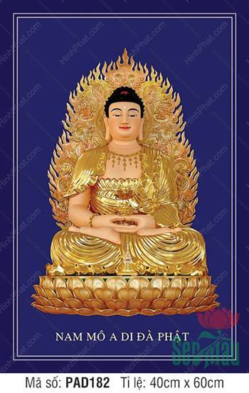 Tranh Phật A Di Đà, Cửa Hàng Tranh Phật Giáo PAD182