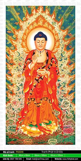 Tranh Phật A Di Đà - Cửa Hàng Tranh Phật Giáo - PAD245