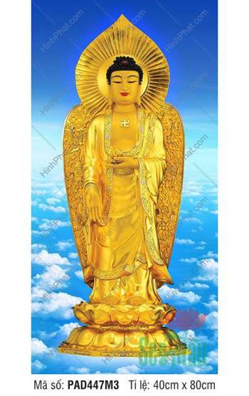 Tranh Phật A Di Đà, Cửa Hàng Tranh Phật Giáo PAD447M3, Dáng Tiếp Dẫn