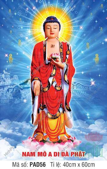 Tranh Phật A Di Đà PAD56, ngự tòa sen hồng giữa nền trời sao
