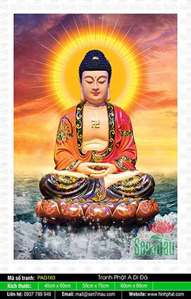 Tranh Phật A Di Đà Đẹp - PAD183