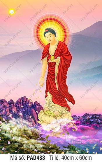 Tranh Phật A Di Đà Đẹp PAD483, dáng đứng đài sen giữa núi mây