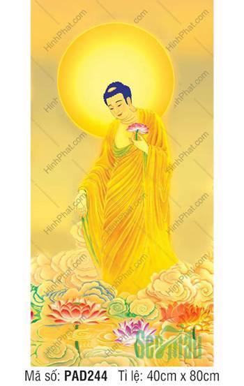 Tranh Phật A Di Đà PAD244, Dáng Đứng Tiếp Dẫn Cầm Sen