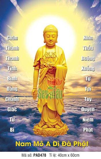 Tranh Phật A Di Đà PAD478, Hình Tượng Phật A Di Đà