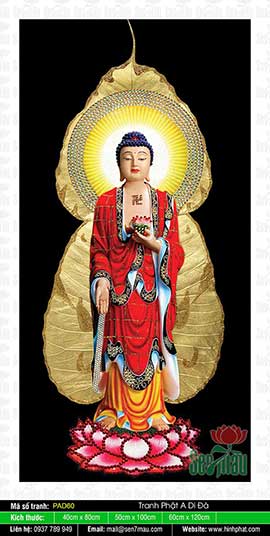 Tranh Về Đức Phật A Di Đà - PAD60