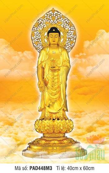 Hinh Anh Nam Mô A Di Đà Phật PAD449, dáng đứng y vàng nền hoa văn