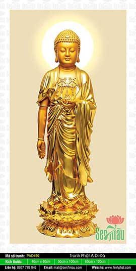 Tranh Về Phật A Di Đà PAD469