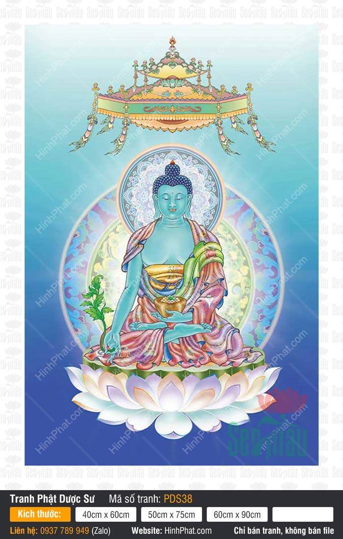 Hình Phật Dược Sư Chất Lượng Cao PDS38 Hình Phật Dược Sư Chất Lượng Cao PDS38 thân xanh tọa đài sen trắng tinh khiết
