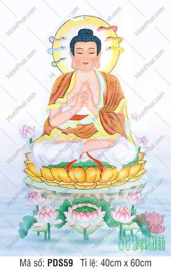 Hình Phật Dược Sư Đẹp PDS59, Đức Phật chắp tay ngự tòa sen