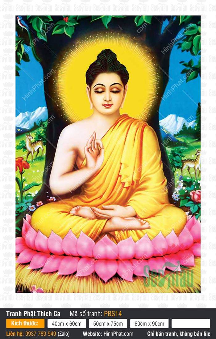 Ảnh Phật Thích Ca Đẹp PBS14 Ảnh Phật Thích Ca Đẹp PBS14 tọa thiền giáo hóa trên đài sen hồng dưới bóng cây Bồ Đề