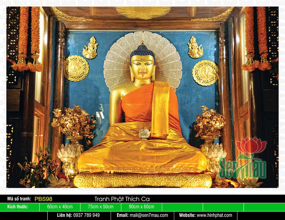 Ảnh Phật Thích Ca Đẹp PBS98