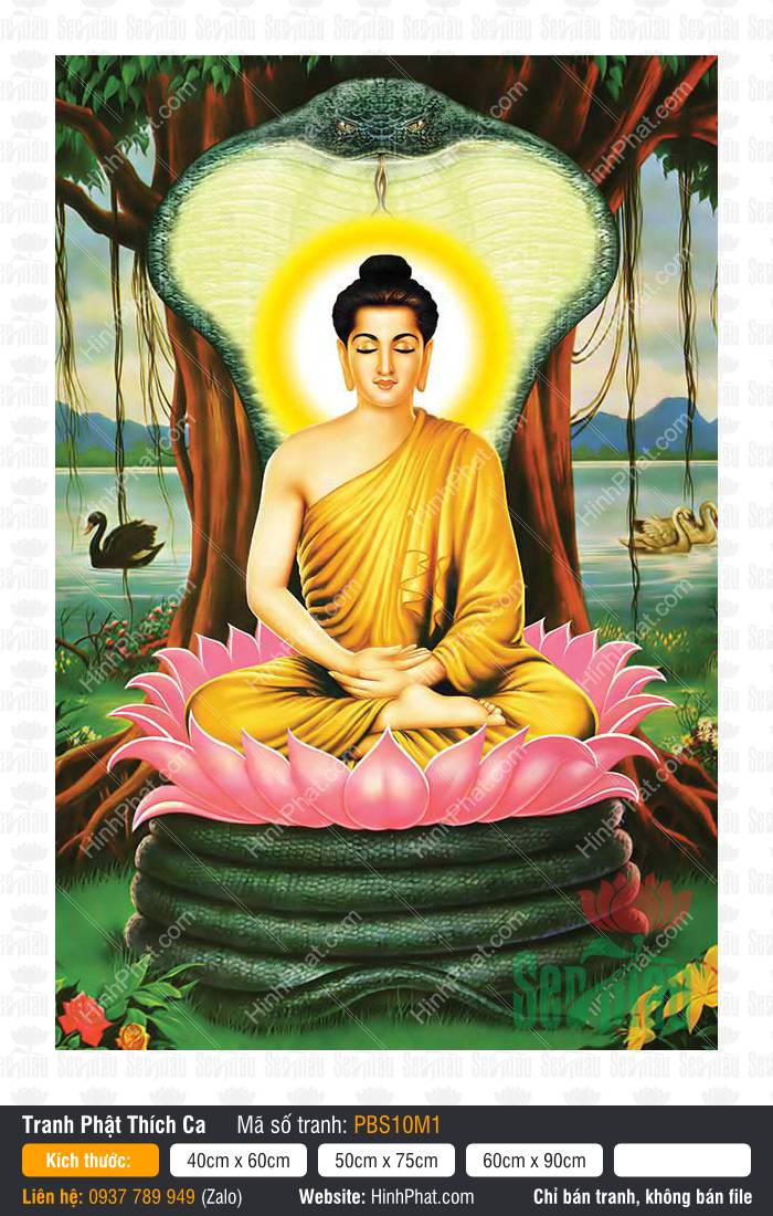 Bổn Sư Thích Ca Mâu Ni Phật PBS10M1 Bổn Sư Thích Ca Mâu Ni Phật PBS10M1 tọa thiền đài sen mãng xà Mucalinda xòe mang