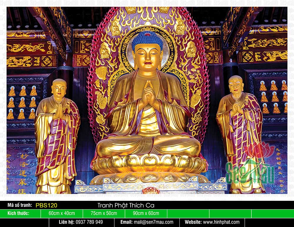 Bổn Sư Thích Ca Mâu Ni Phật PBS120