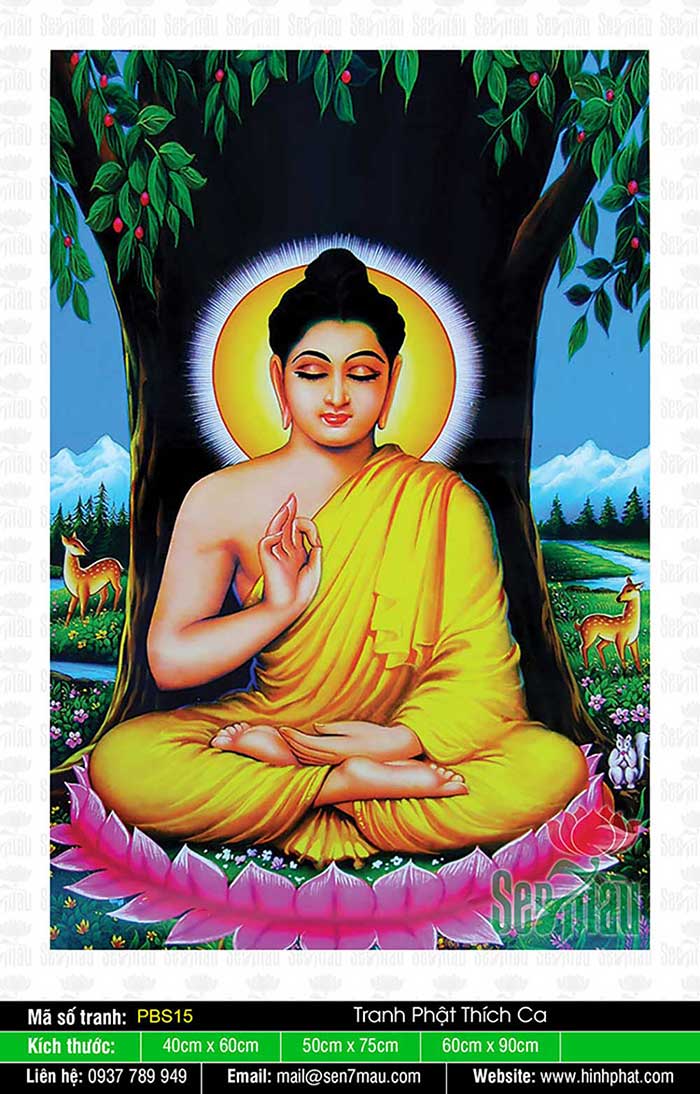 Bổn Sư Thích Ca Mâu Ni Phật - PBS15