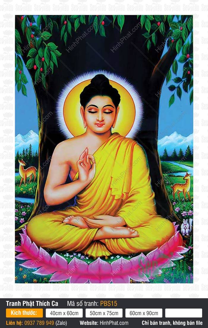 Bổn Sư Thích Ca Mâu Ni Phật PBS15 Bổn Sư Thích Ca Mâu Ni Phật PBS15 tọa thiền trên đài sen hồng dưới gốc bồ đề xanh mát