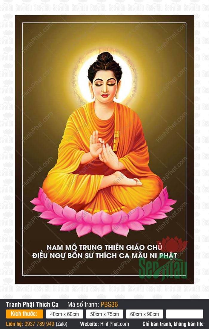 Bổn Sư Thích Ca Mâu Ni Phật PBS36 Bổn Sư Thích Ca Mâu Ni Phật PBS36 tọa thiền trên tòa sen hồng với ấn thuyết pháp trang nghiêm