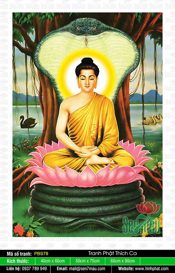 Bổn Sư Thích Ca Mâu Ni Phật PBS78