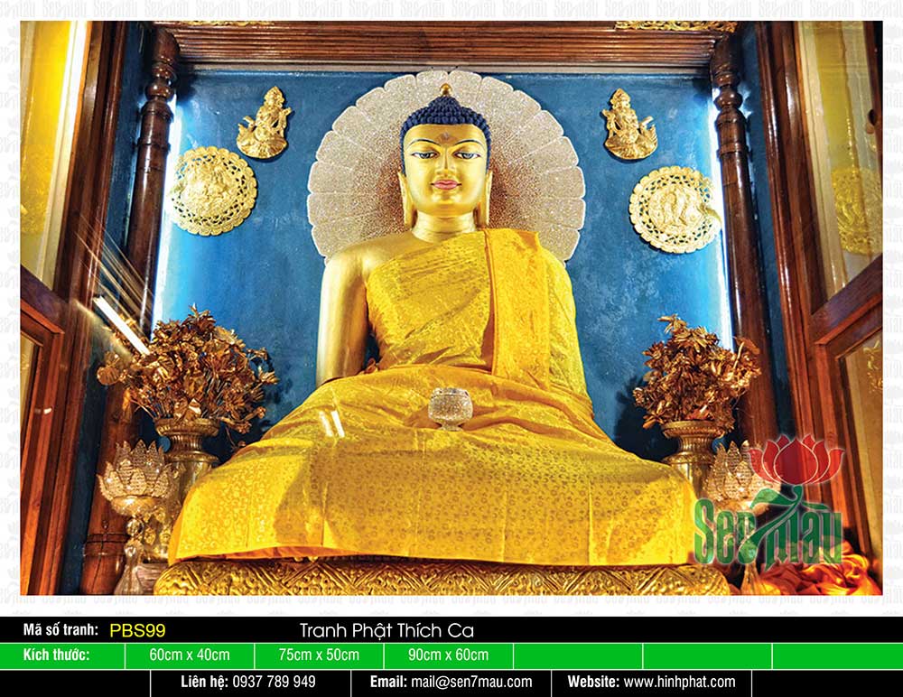 Bổn Sư Thích Ca Mâu Ni Phật PBS99