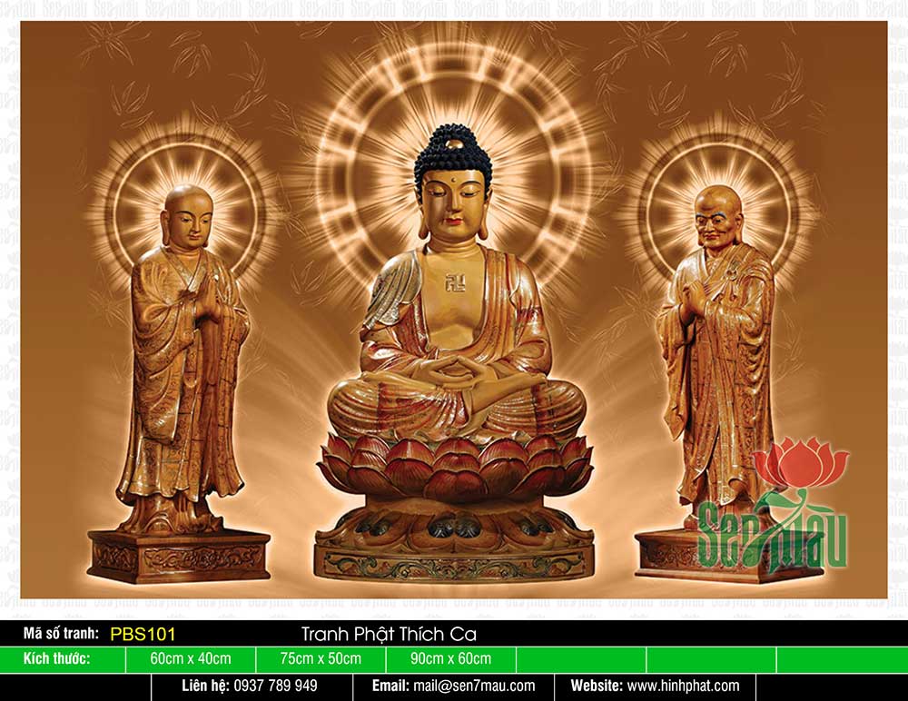 Đức Phật Thích Ca Đẹp PBS101